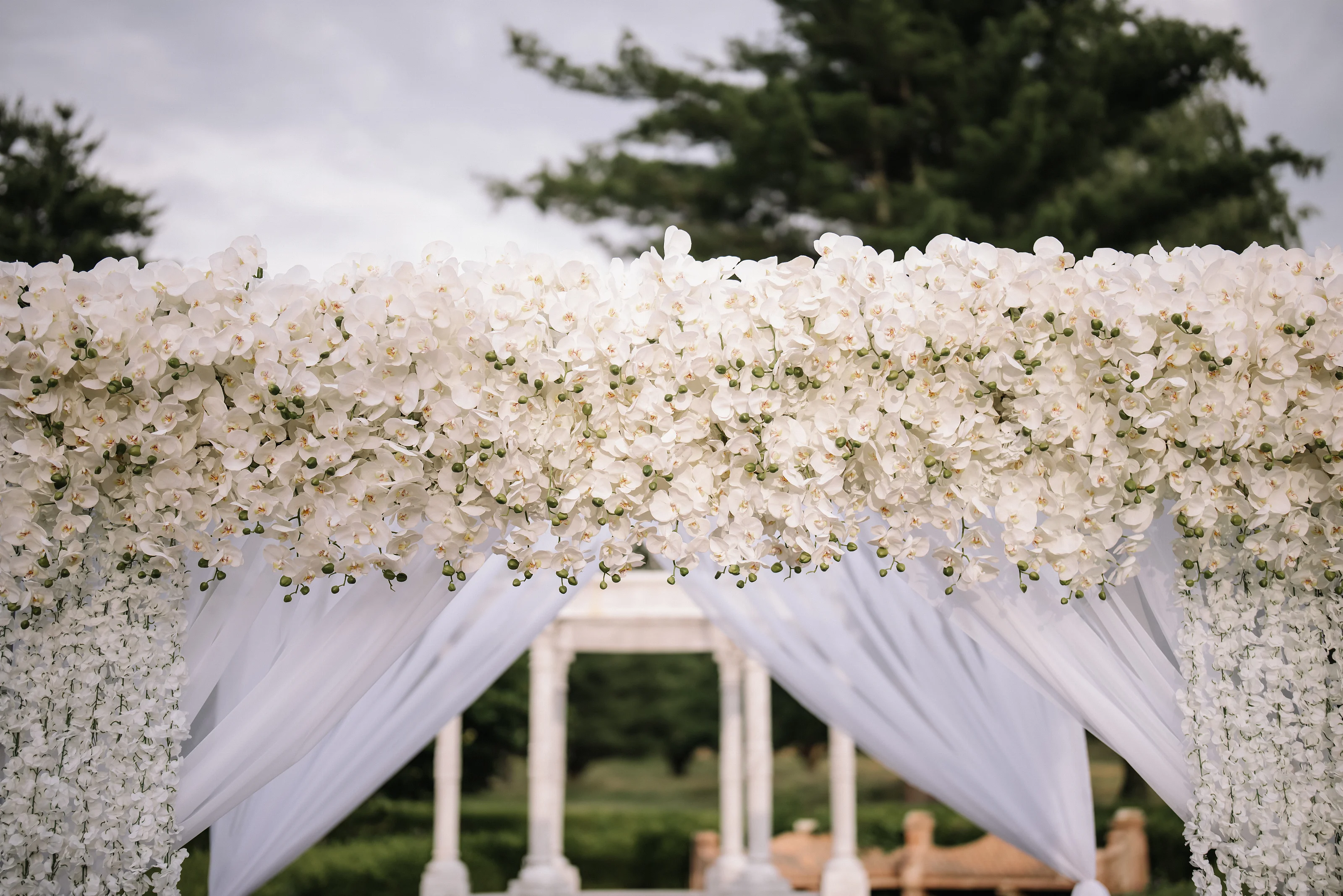 Floral chuppah with white blossoms and draped fabric outdoors at Falkirk Estate Country Club, photographed by CJ Studios