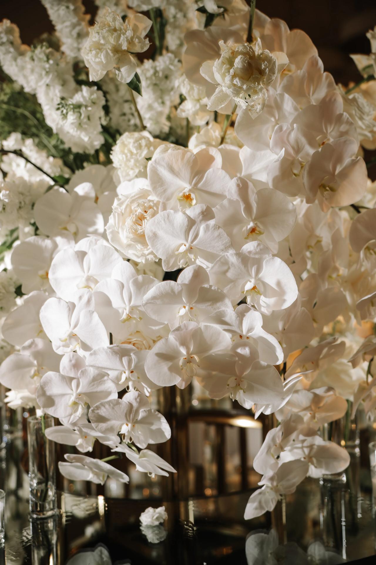 Cascading white orchids in warm light at Hilton Garden Inn Springfield
