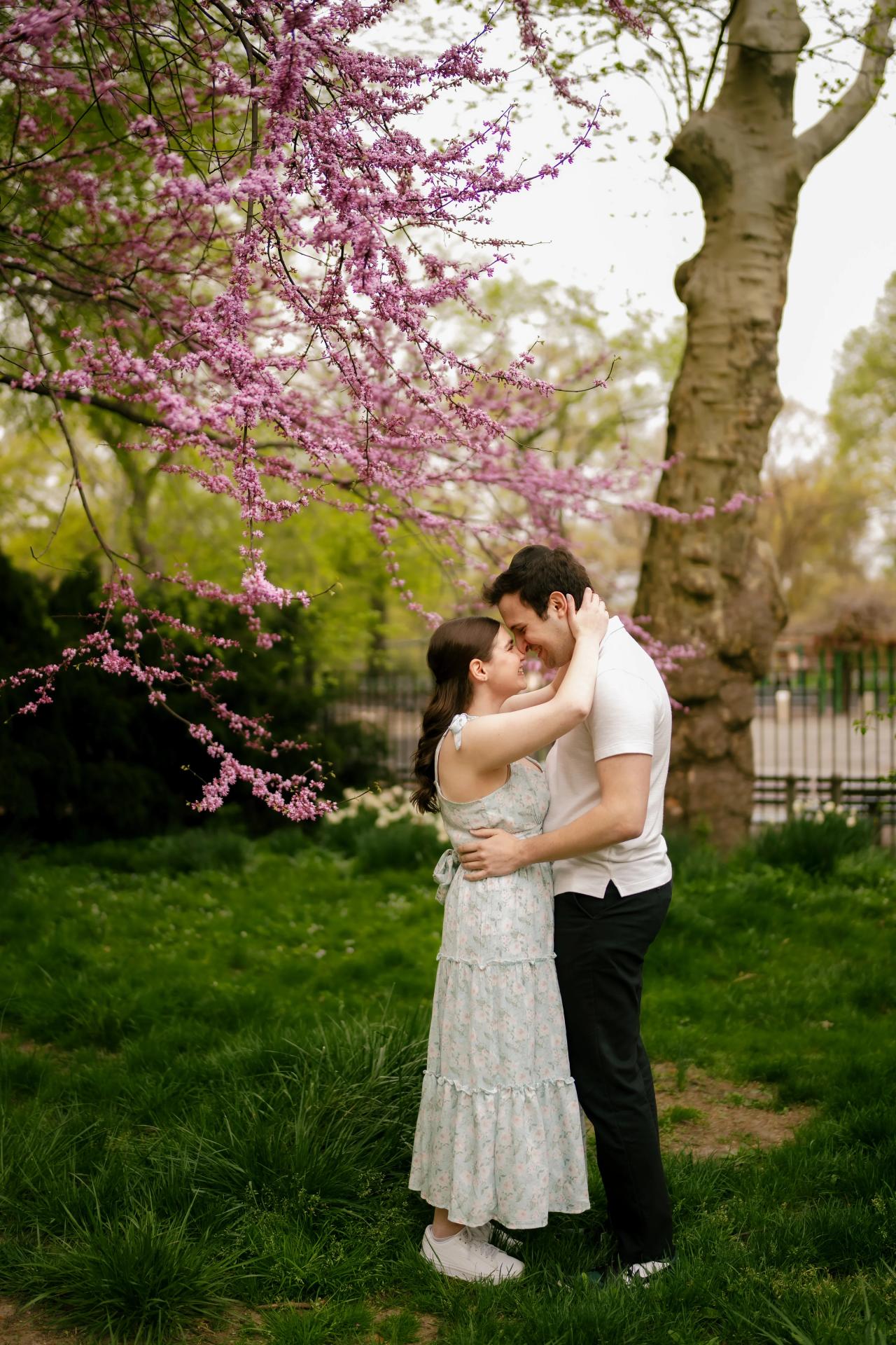 Couple embracing beneath a pink flowering tree