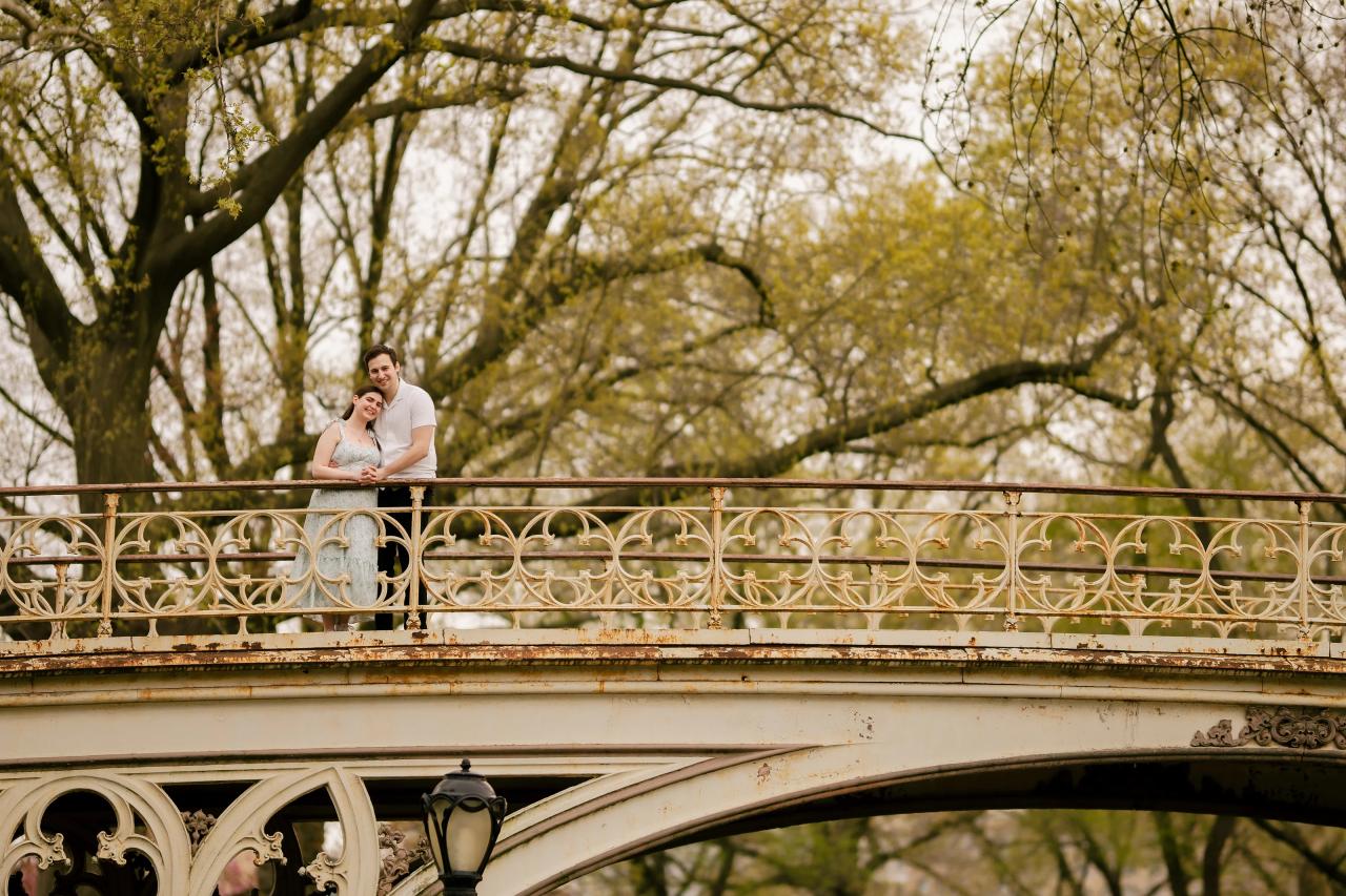 Wide engagement portrait on a bridge beneath spring trees