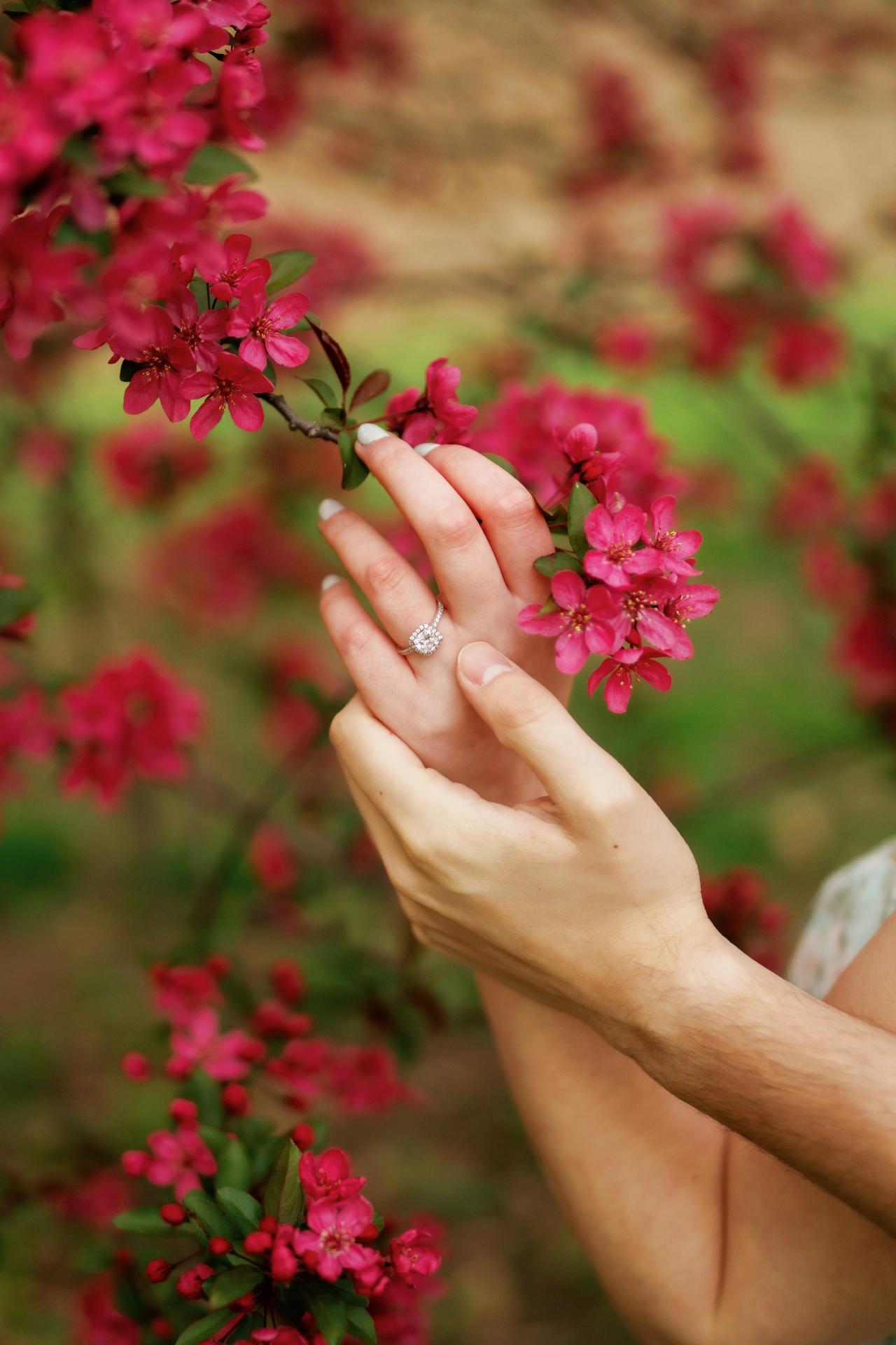 Hands and engagement ring beside bright pink blossoms