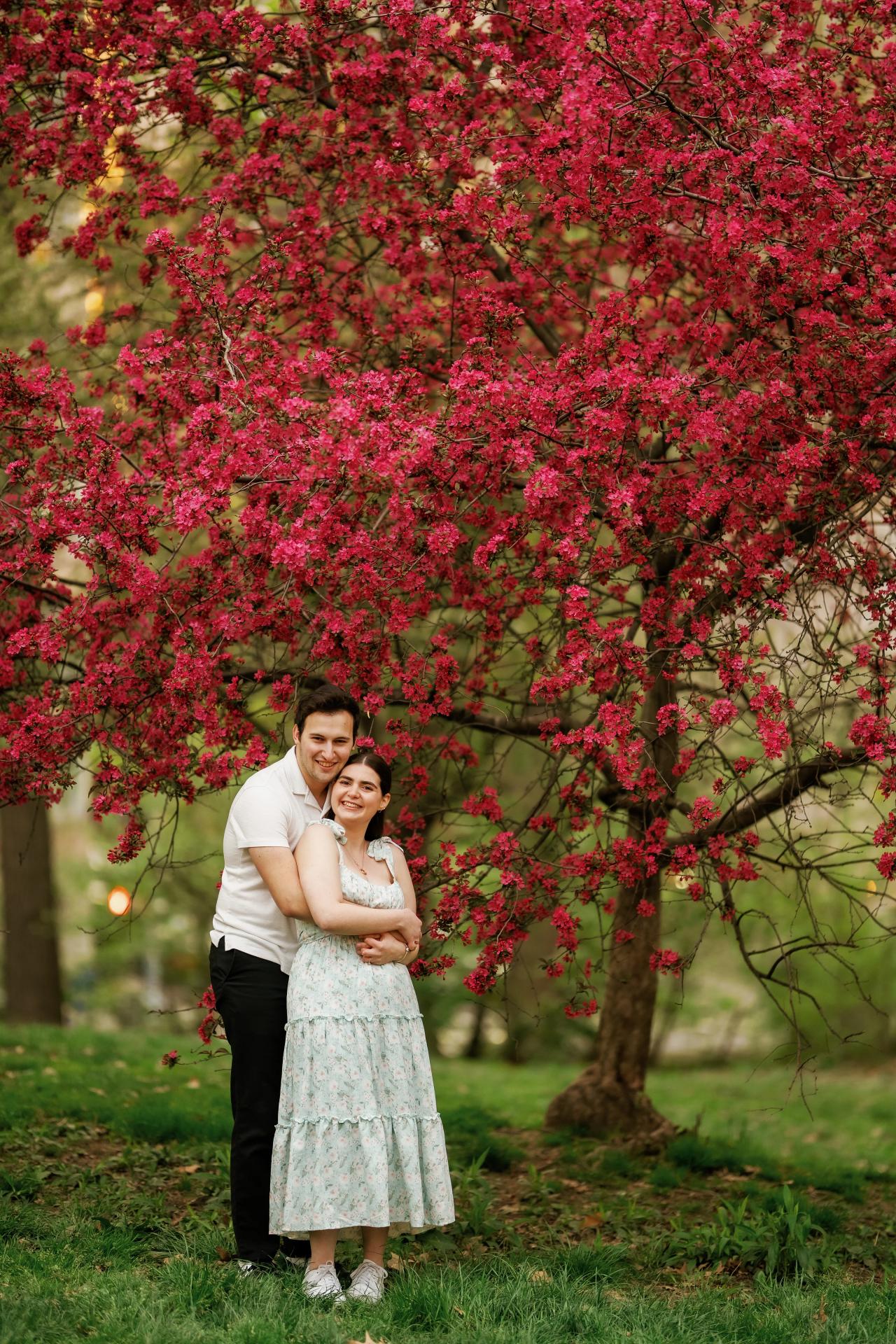 Wide engagement portrait beneath a pink flowering tree