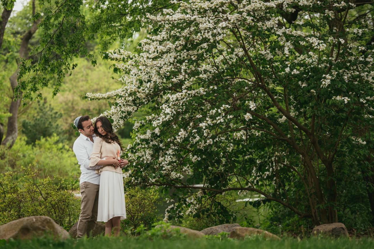 Couple embraced beneath a tree covered with white blossoms