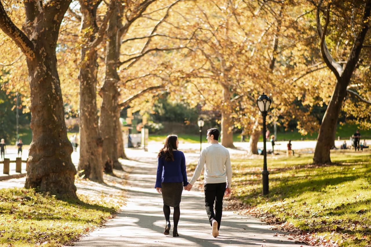 Couple walking away hand in hand along a tree-lined path