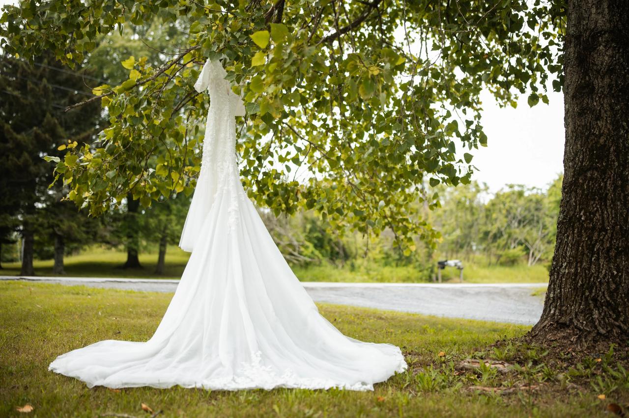 Wedding dress hanging beneath summer tree branches. Wedding at Indian Ridge.