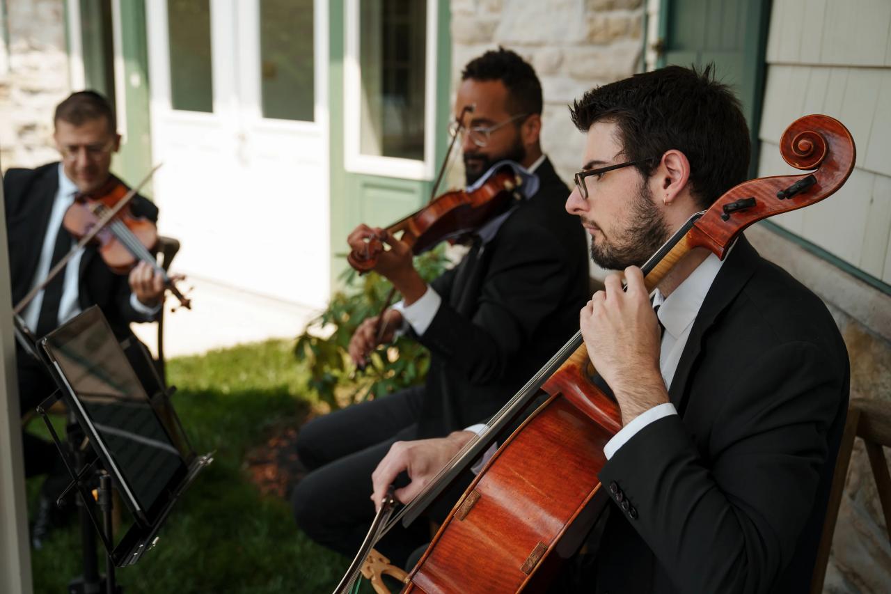 Cellist performing at the Jewish wedding. Jewish wedding in Baltimore.