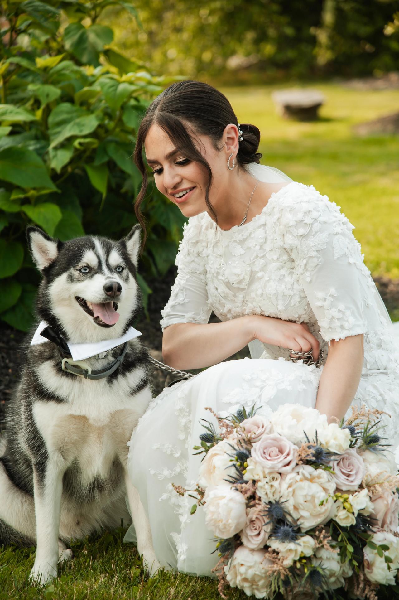 Bride with a husky beside her bouquet. Wedding at Indian Ridge.