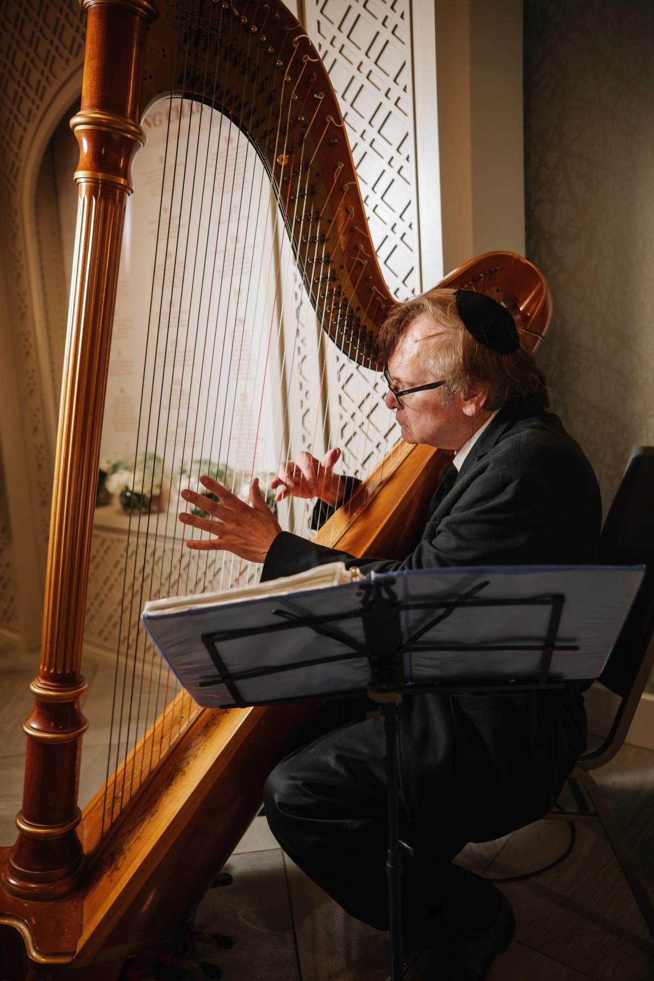 A seated musician playing a large harp beside a music stand, indoors at a Jewish celebration; warm tones and decorative wall panels in the background. Bar Mitzvah photography at Hilton Garden Inn Springfield, Springfield, NJ.